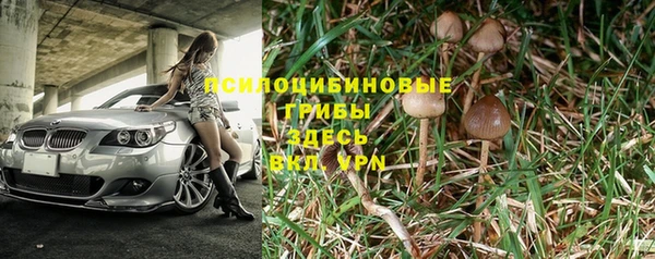 ПСИЛОЦИБИНОВЫЕ ГРИБЫ Алексин