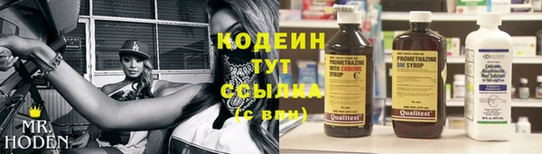 ПСИЛОЦИБИНОВЫЕ ГРИБЫ Алексин