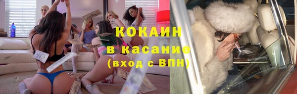 твердый Абаза