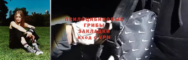 ПСИЛОЦИБИНОВЫЕ ГРИБЫ Алексин