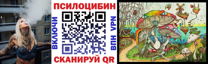 купить закладку  Азов  Галлюциногенные грибы мицелий 